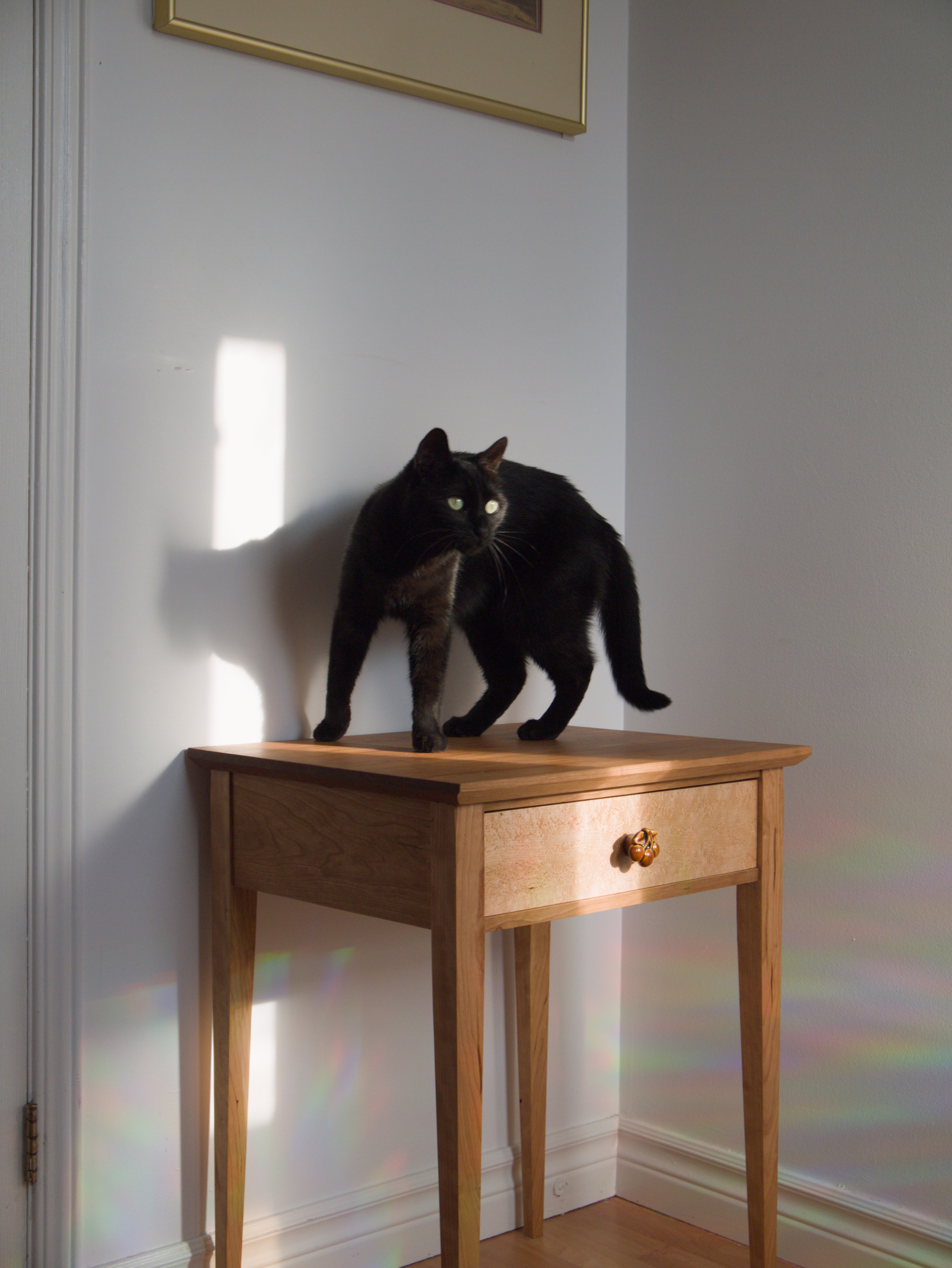 Zorro on top